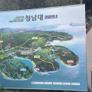 강아지 정거장 | 충남 청주 강아지랑 청남대 가을축제 주차 셔틀버스 꿀팁 총정리