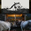 훈민농장 이미지