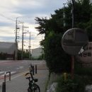 저마다의 아침을 여는 공간, 한강 물멍과 서울식물원 가는 길 이미지