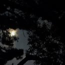 재송시장 이미지