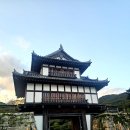 1박2일 아래 | 부산에서 대마도가기 1박 2일 여행 후기