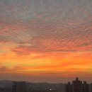 당진아구동태탕찜 | 당산역 맛집: 해물찜 먹고싶을 때 추천! '배영만당진아구동태찜탕 당산점' 방문 후기