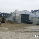 백제양계장 이미지