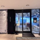 동탄나무로 | 동탄 버드나무크래프트 메뉴추천, 호수뷰 맛집 솔직후기