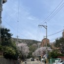 뚜레쥬르부산남천점 이미지