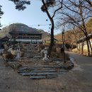 혜월 | 2026-0203 (화) : 불암사