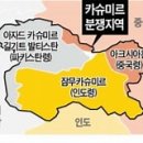 코헨의원 | 10월 26일