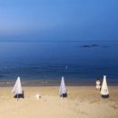 영진치과의원 이미지