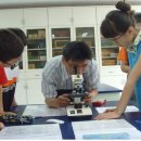 궁근정초 이미지