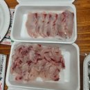 삼정(주)산청온천 | 통영 아이와 가족여행 첫째날[통영 니지텐, 통영해저터널, 중앙시장 활어특화거리 산청활어](2024. 8. 15.)