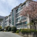 계룡로(고현동) 이미지