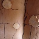 황토구들펜션 이미지