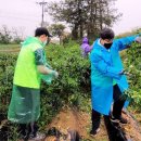 대야리(대실) 이미지