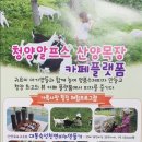 청양알프스산양목장 이미지