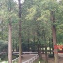 용인시대대보건진료소 이미지