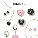 까멜리아 이미지