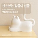수디자인스튜디오 | 집들이 선물 추천! 고양이 돌돌이 두두디자인스튜디오 캣롤 테이프클리너 내돈내산 후기