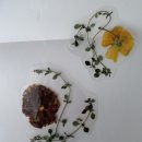 (주)커넥트에잇 이미지