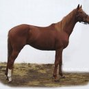 녹원목장 이미지