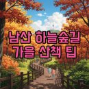 충무로스카이뷰 | 남산 하늘숲길 가는 방법과 코스, 완벽 정리!