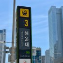 쇼진 | 부산 해운대역 장어덮밥 추천 “쇼진” 후기 (장어덮밥,가이세키 오마카세)