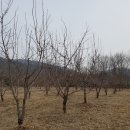 (주)풀과나무 이미지