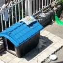 옥구지구대 이미지