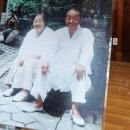 미당서정주의 집 Daum카페