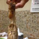 장곡민박산장 네이버블로그