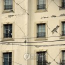 호텔카리브 연합뉴스