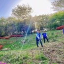 샛터공원 이미지