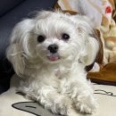 메이저피부과의원 이미지