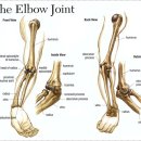 영월요양병원 이미지