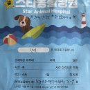 스타동물병원 이미지