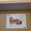 포낙보청기서초센터 | 서초보청기 양재보청기 "포낙보청기 서초점" 친절 상담 후기