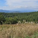 성읍리-23 이미지