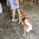바네베이커리