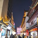 장전초금덕분교장 | 🇨🇳상해 예원 등불축제 구경 입장료