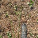 서수농장 이미지