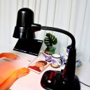 필립의료기 | 적외선 조사기 라이프갤러리아 필립닥터Q 사용후기