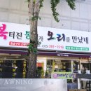 복터진 통뼈가 오리를 만났네 이미지