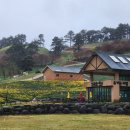 남도밧데리 이미지