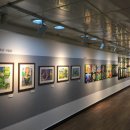 꿈나무 환경지킴이 이미지