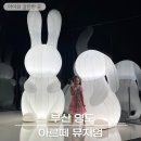 아르떼 뮤지엄 부산 영도 아이랑 주말 방문, 티켓&amp;이용 팁