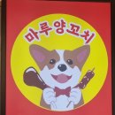 마루 죽도양꼬치