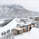 (설 명절연휴) 델피노 소노펠리체 / 설악밸리 독채형 리조트 가실분!! 이미지