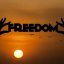 상상플러스 이미지