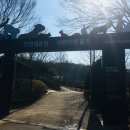 담방어린이공원 이미지