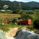 참봉목장 이미지