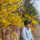 장자호수길 이미지